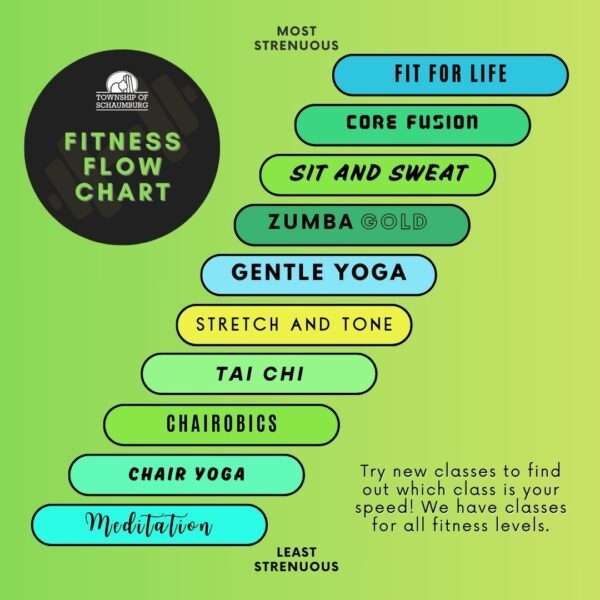 Classes are categorized from least strenuous to most, in this order: Meditation, Chair Yoga, Chairobics, Tai Chi, Stretch and Tone, Gentle Yoga, Zumba Gold, Sit and Sweat, Core Fusion, Fit for Life.